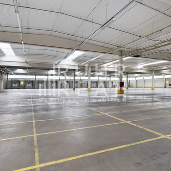 4.200 m² attraktive Logistikfläche | Rampen | RUHR REAL