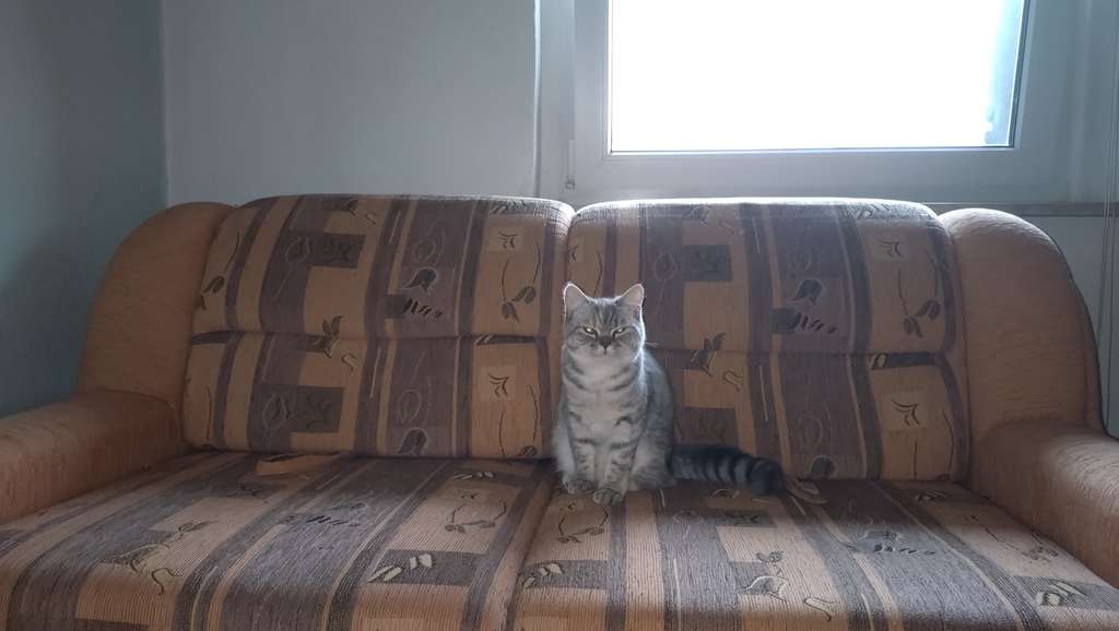 Immobilie in Königsfeld - Hier sind Sie angekommen  - Bild 4