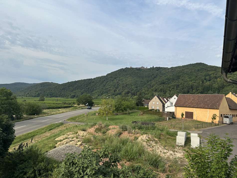 Blick auf Madenburg
