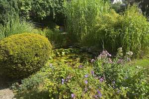 Property thumbnail 9