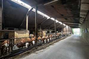 Verwirklichen Sie Ihren Traum  – Erlebnisbauernhof, Eventlocation, Storage oder Werkstatt – Neustadt a.d. Aisch-Bad Windsheim (Kreis) – Vorschaubild 18