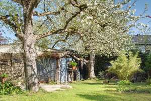 Property thumbnail 30