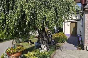 🏡 Traumhaftes Einfamilienhaus mit Einliegerwohnung und großer Dachterrasse 🌞 – Am Sommerberg 39, 73329 Göppingen (Kreis) – Vorschaubild 9