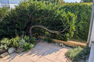 Exklusives Wohnen in Stockstadt am Rhein: 121 m² Hochparterre mit Privatgarten & Teil-Möblierung – 64589 Stockstadt am Rhein – Vorschaubild 33