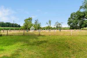 Historisches Bauernhaus mit Weitblick – Großzügiges Anwesen mit 20.000 m² Grundstück in Alleinlage – Die vollständige Adresse der Immobilie erhältst du vom Anbieter., 31595 Steyerberg – Vorschaubild 13