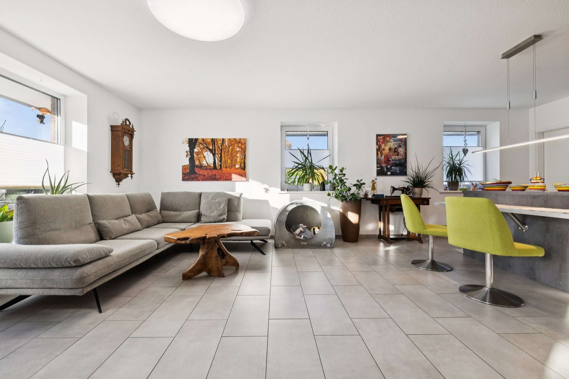 Immobilie in Silberstedt - Ankommen und Wohlfühlen – moderner Bungalow mit Wintergarten & Carport - Bild 0