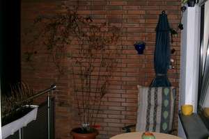 3 Zimmerwohnung im Zweifamilienhaus – 40627 Gerresheim, Düsseldorf – Vorschaubild 9