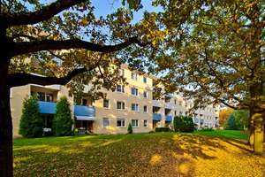 Platz für die gesamte Familie: 3,5 Zimmer-Wohnung Bonn-Heiderhof – Tulpenbaumweg 11, 53177 Heiderhof, Bonn – Vorschaubild 2