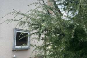 ruhiges Wohnen mitten in Oberensingen  – Schlossweg 8, 72622 Nürtingen – Vorschaubild 3
