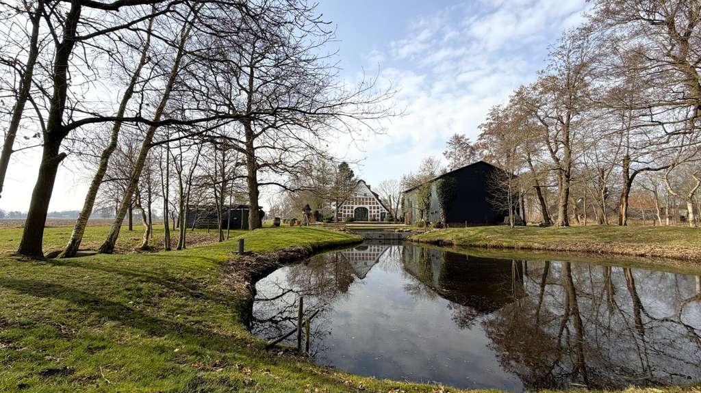 Immobilie in Oederquart - Historisches Reetdachhaus mit Sauna, Teich, Feldblick und Scheune - Bild 1