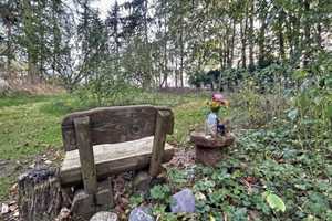 Ihr Rückzugsort in wunderschöner Natur! – Bad Doberan (Kreis) – Vorschaubild 12