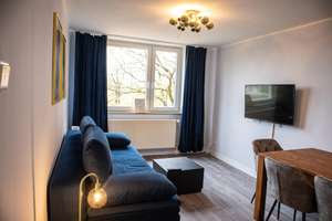 Voll möbliertes 2 1/2 Zimmer Apartment mit Balkon und High-Speed-Internet – Die vollständige Adresse der Immobilie erhältst du vom Anbieter., 30519 Mittelfeld, Hannover – Vorschaubild 12