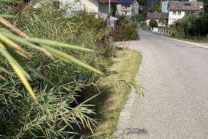 freistehendes Einfamilienhaus in Hebertsfelden – Die vollständige Adresse der Immobilie erhältst du vom Anbieter., 84332 Hebertsfelden – Vorschaubild 12
