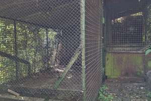 Liebhaber Haus in Stromberg: Raum für Ihre Ideen – August-Gerlach-Straße 20, 55442 Stromberg – Vorschaubild 10