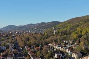 Repräsentatives Wohn- und Geschäftshaus in der Heidelberger Südstadt – Architekturjuwel mit Garten – Die vollständige Adresse der Immobilie erhältst du vom Anbieter., 69126 Südstadt, Heidelberg – Vorschaubild 8
