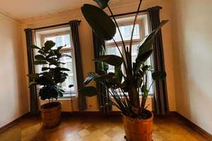 Spektakuläre  5-Zimmer-Altbauwohnung mit Balkon im Musikviertel – Dufourstraße 4, 4107 Zentrum-Süd, Leipzig – Vorschaubild 10