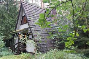 Wohnen im Ferienhausgebiet (Nurdachhaus) – Die vollständige Adresse der Immobilie erhältst du vom Anbieter., 29342 Wienhausen – Vorschaubild 4