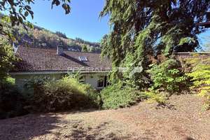 FREIRAUM4 +++ Großzügiges Einfamilienhaus mit großem Garten & Photovoltaikanlage! – 57080 Gosenbach, Siegen – Vorschaubild 11