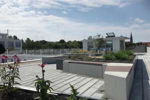 Property thumbnail 19