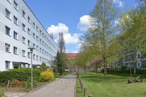 Mieterin sucht zum schnellstmöglichen Termin Nachmieter – Peter-Hille-Straße 69, 12587 Friedrichshagen, Berlin – Vorschaubild 4