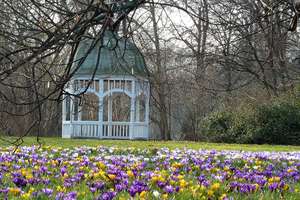 Property thumbnail 35