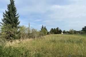 EFH mit großem Garten und Wiese am Ortsrand von Hindenburg! – Stendal (Kreis) – Vorschaubild 9