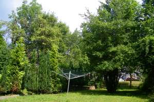 GEMÜTLICHes NEST in UNINÄHE – Lutherstraße 65, 9126 Bernsdorf, Chemnitz – Vorschaubild 11