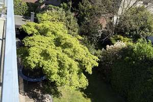 Top Lage - top gepflegt - Haus in Haus Option für Selbstnutzer mit Garten - 8 Whg + 2 Garagen – 40470 Mörsenbroich, Düsseldorf – Vorschaubild 33