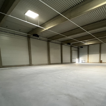 Solitärobjekt: 1.100 m² Hallenfläche | kurzfristig verfügbar | Rampe + ebenerdiges Tor