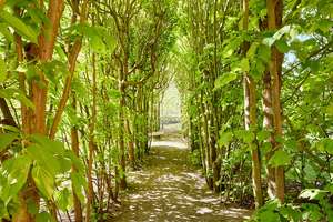 Property thumbnail 18