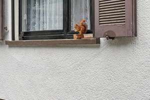 Mannheim: Toll geschnittene 2-Zimmer-Etagenwohnung mit Gartenanteil – 68305 Waldhof, Mannheim – Vorschaubild 2