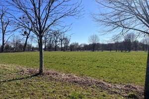 NEUBAU-Doppelhaushälfte mit wohnlich ausgebautem Souterrain und großem Garten – Reigersbachstraße 22a, 80995 Lerchenau-West, München – Vorschaubild 10
