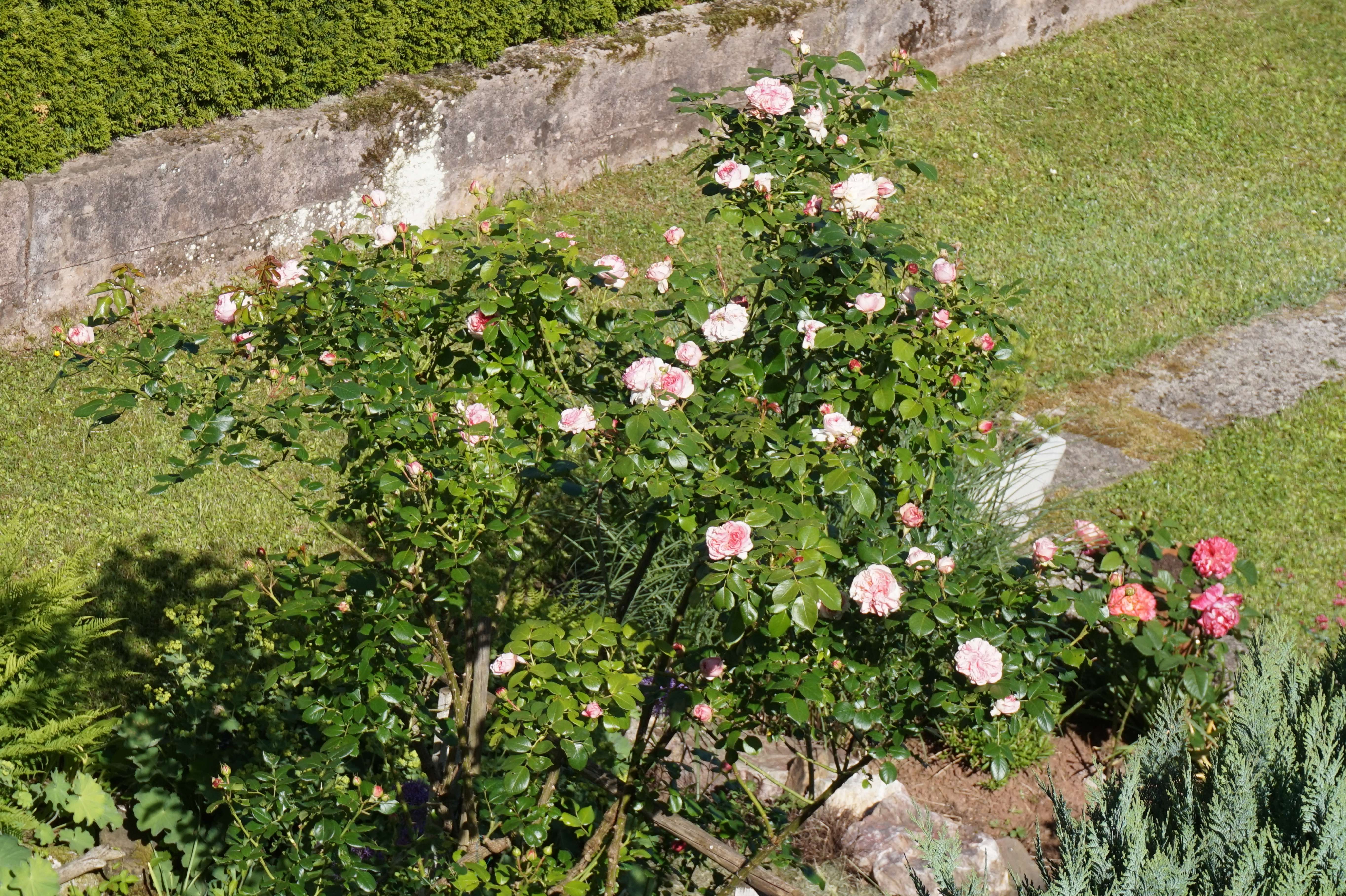 WK-Gruppe WK-Gruppe