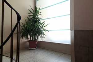 Keine Provision; 1 ZKB; 37m²; 3 OG; großer Balkon Ost/Süd/West Ausrichtung; Küche; Dusche/Badewanne – Hubenstrasse 29, 68305 Mannheim – Vorschaubild 4