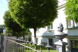 Ruhige 2-Zi.-Wohnung mit Gartennutzung in Uni-Nähe (DD-Plauen) inkl. Einbauküche. – 1187 Plauen (Stadtteil), Dresden – Vorschaubild 2