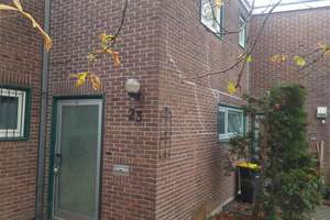 Reihnmittelhaus mit 200qm Garten im Herzen Düsseldorfs – Boschstrasse 23, 40589 Holthausen, Düsseldorf – Vorschaubild 5