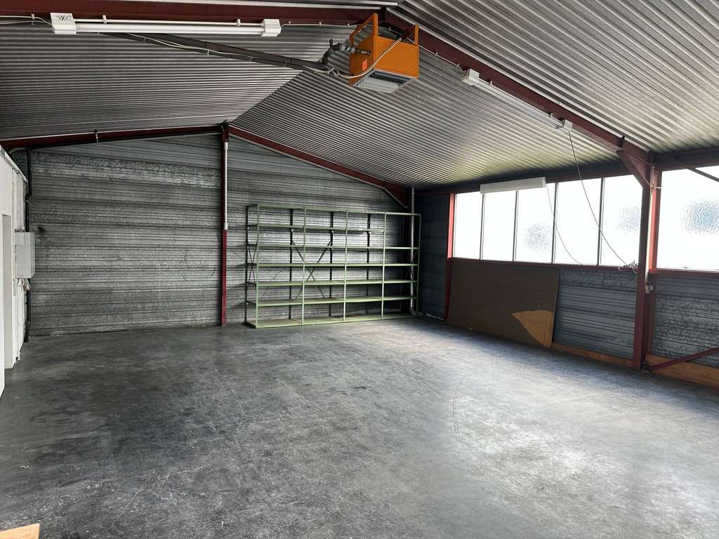 Immobilie in Pfalzgrafenweiler - Einfamilienhaus mit Gewerbehalle in Pfalzgrafenweiler - Bild 4