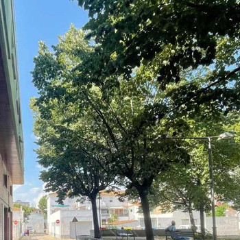 PRECHTIOSES HAUS + GEWERBEFLÄCHE ZU VERKAUFEN IN SALT