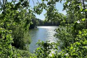 Eine seltene Gelegenheit - Charmantes Wohnen direkt am See – Stade (Kreis) – Vorschaubild 22