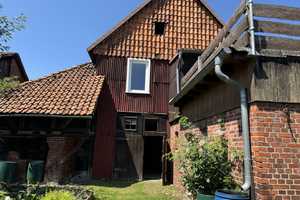 Liebhaberobjekt - Resthof mit Nebengebäuden und großem Grundstück – Osterode am Harz (Kreis) – Vorschaubild 6