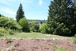 Wohnen mit Garten, Weitblick und Ruhe: Renoviertes Einfamilienhaus in Oberdürrbach – Die vollständige Adresse der Immobilie erhältst du vom Anbieter., 97080 Dürrbachtal, Würzburg – Vorschaubild 55