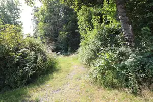 
Wohnen in großzügigem Stil Blick über Helmbrechts – Hof (Kreis) – Vorschaubild 17
