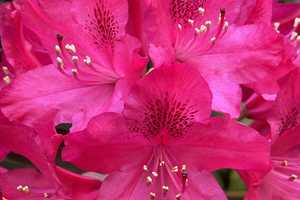 Property thumbnail 23