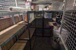 Zentrale 2-Zimmer-Wohnung in Stuttgart-Vaihingen inkl. Küche, Stellplatz, Keller und teilmöbliert – Haeberlinstraße 8, 70563 Vaihingen-Mitte, Stuttgart – Vorschaubild 16