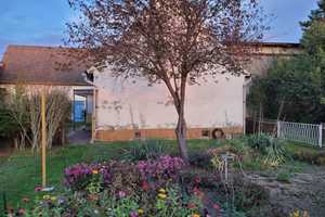 Günstiges Einfamilienhaus in Koßdorf Mühlberg/Elbe – Feldweg 1, 4895 Elbe-Elster (Kreis) – Vorschaubild 4