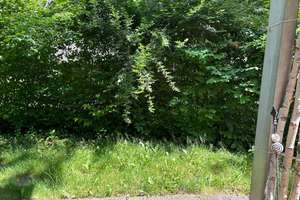 Idyllisches Wohnen im Grünen 4-Zimmer-Wohnung in Sendling-Westpark – Die vollständige Adresse der Immobilie erhältst du vom Anbieter., 81373 Mittersendling, München – Vorschaubild 44