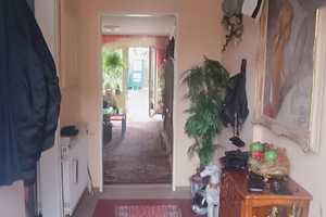Solides Mehrfamilienhaus in zentraler und attraktiver Lage von Lemgo! – Lippe (Kreis) – Vorschaubild 8