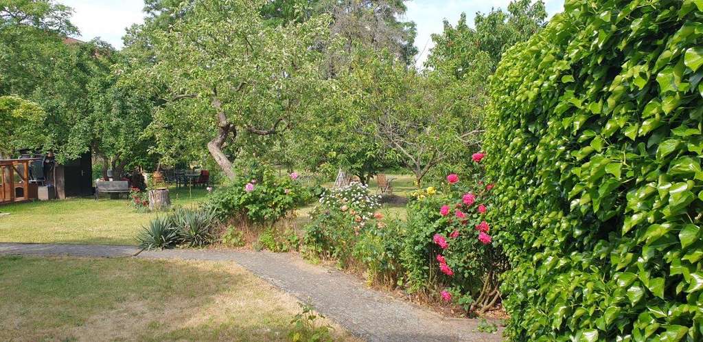 Immobilie in Frankfurt (Oder) - Eigentümer gesucht – Für ein vermietetes Zweifamilienhaus im ruhigen südlichen Stadtteil - Bild 3