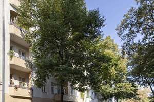 Charmantes Single-Apartment in begehrter Kiezlage in Neukölln! (vermietet, mit Eigennutzoption) – Fuldastraße 33, 12045 Neukölln (Ortsteil), Berlin – Vorschaubild 2