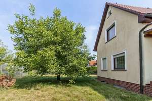 Einfamilienhaus mit Gestaltungsspielraum zur Miete – Wohnen nach Ihren Vorstellungen in Lindenthal – Die vollständige Adresse der Immobilie erhältst du vom Anbieter., 4158 Lindenthal, Leipzig – Vorschaubild 4